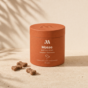 Bote de Mosse Articulaciones, snacks de colágeno y glucosamina para perros, sobre superficie de piedra crema