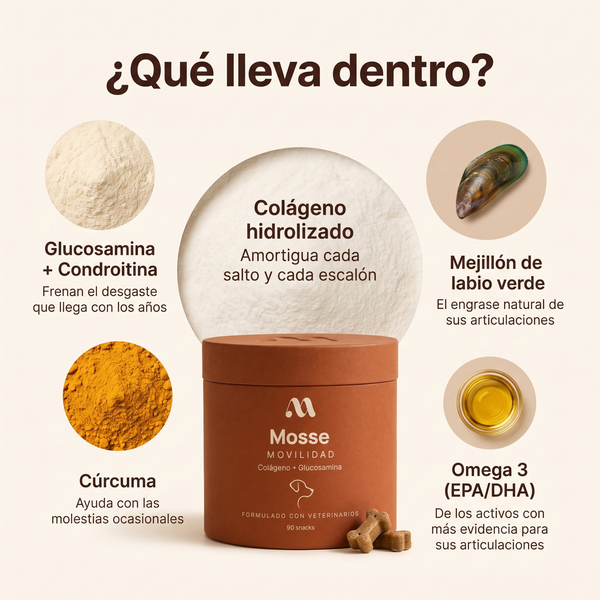 Qué lleva Mosse Articulaciones: colágeno hidrolizado, glucosamina y condroitina, cúrcuma, mejillón de labio verde y omega 3