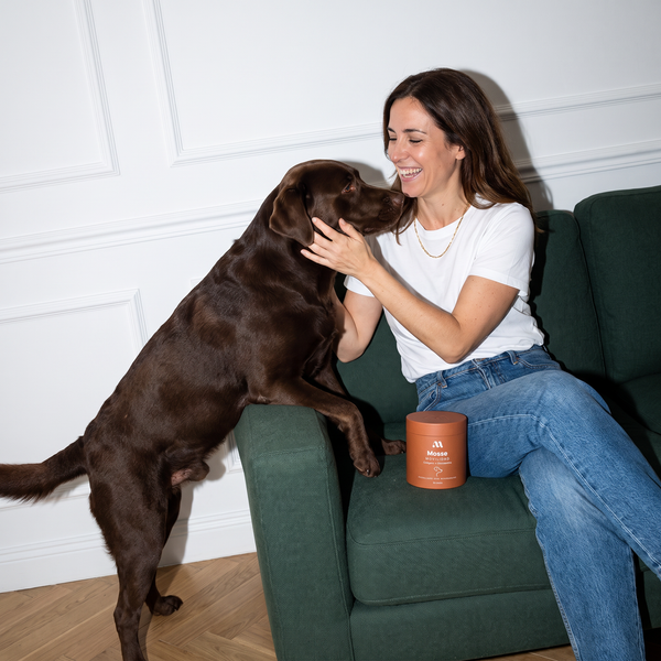 Dueña riendo con su labrador chocolate en el sofá junto a un bote de Mosse Articulaciones