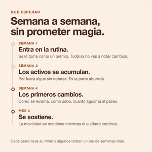 Qué esperar con Mosse Articulaciones semana a semana: semana 1 entra en la rutina y todavía no vas a notar cambios, semana 2 los activos se acumulan, semana 4 los primeros cambios en cómo se levanta, cómo sube y cuánto aguanta el paseo, y mes 2 se sostiene. Cada perro lleva su ritmo y algunos tardan un par de semanas más