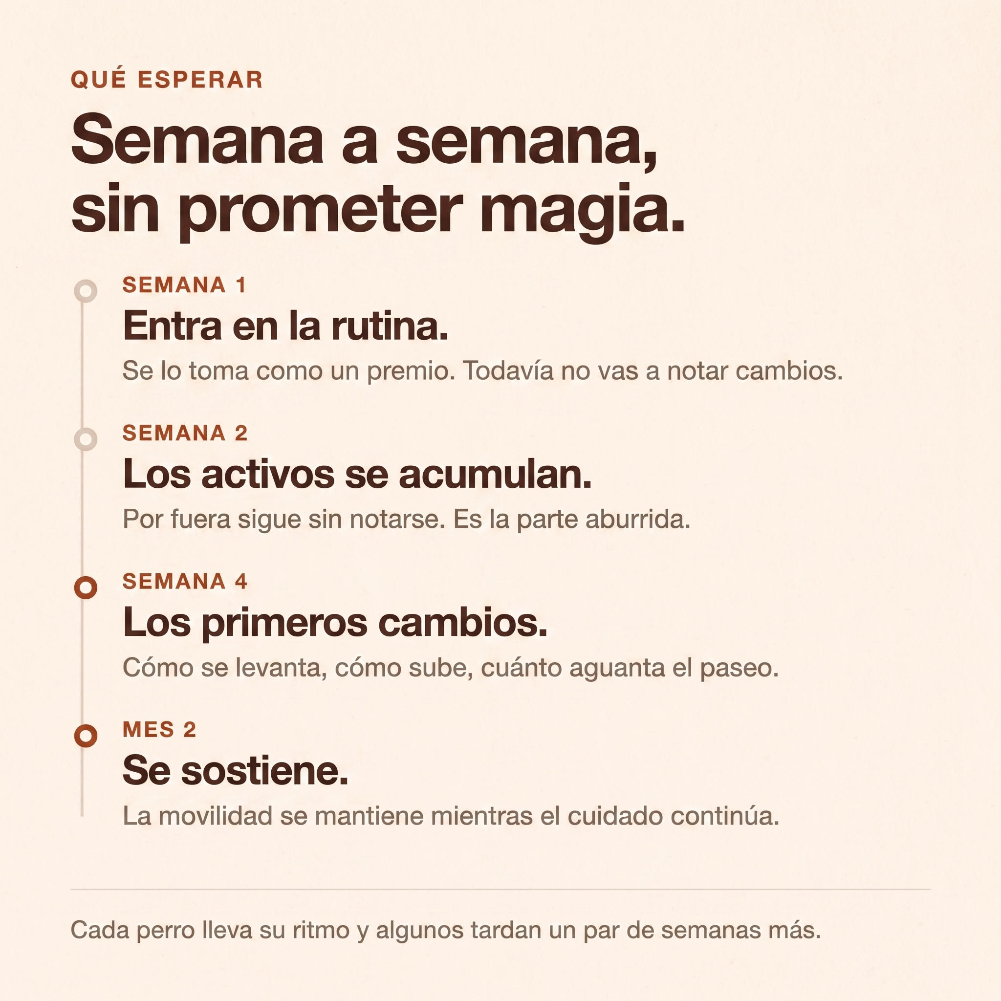 Qué esperar con Mosse Articulaciones semana a semana: semana 1 entra en la rutina y todavía no vas a notar cambios, semana 2 los activos se acumulan, semana 4 los primeros cambios en cómo se levanta, cómo sube y cuánto aguanta el paseo, y mes 2 se sostiene. Cada perro lleva su ritmo y algunos tardan un par de semanas más